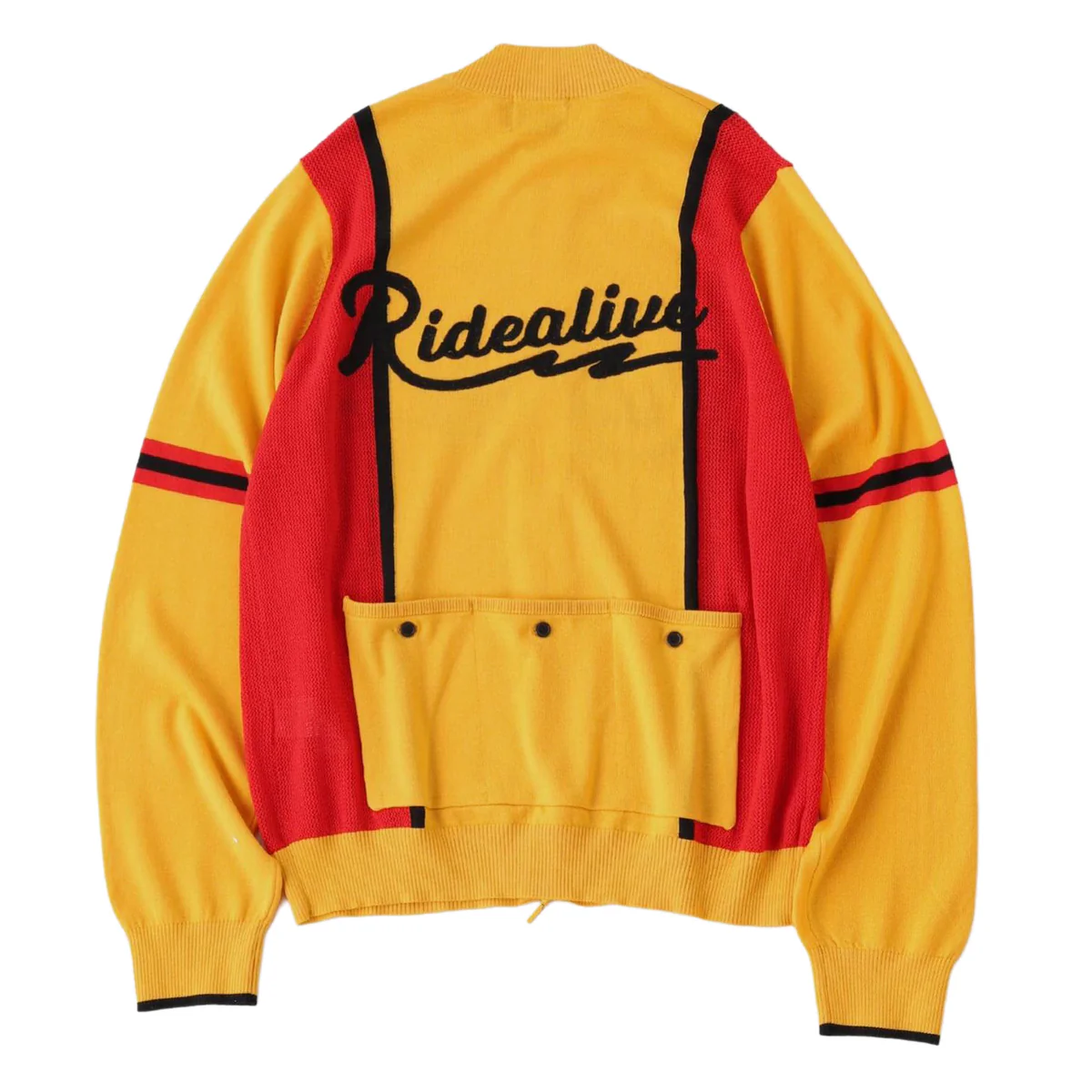 RAL Merino Wool Cycling Jersey – SimWorks Online Store