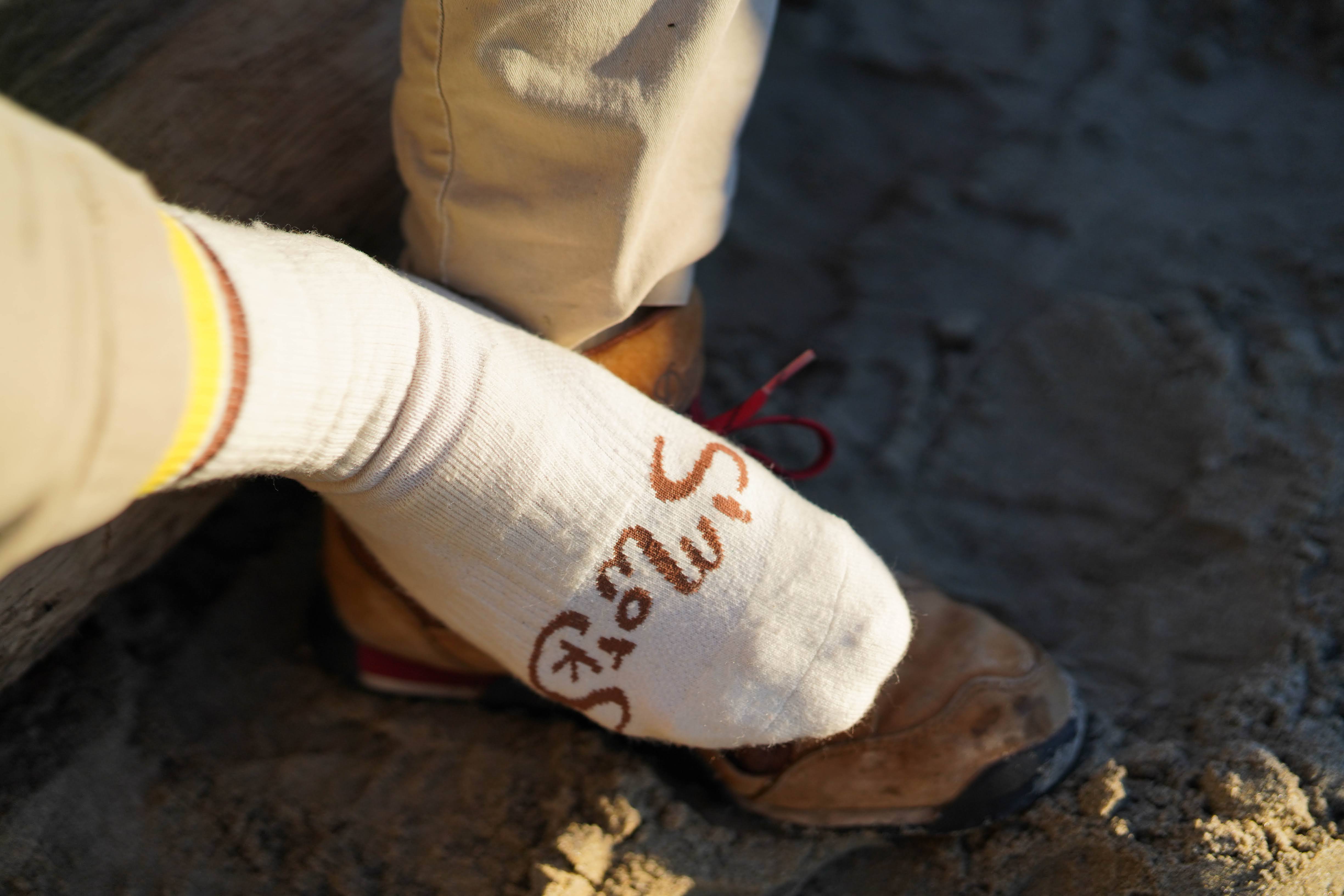 SIMWORKS Rover Socks 2026 – SimWorks Online Store