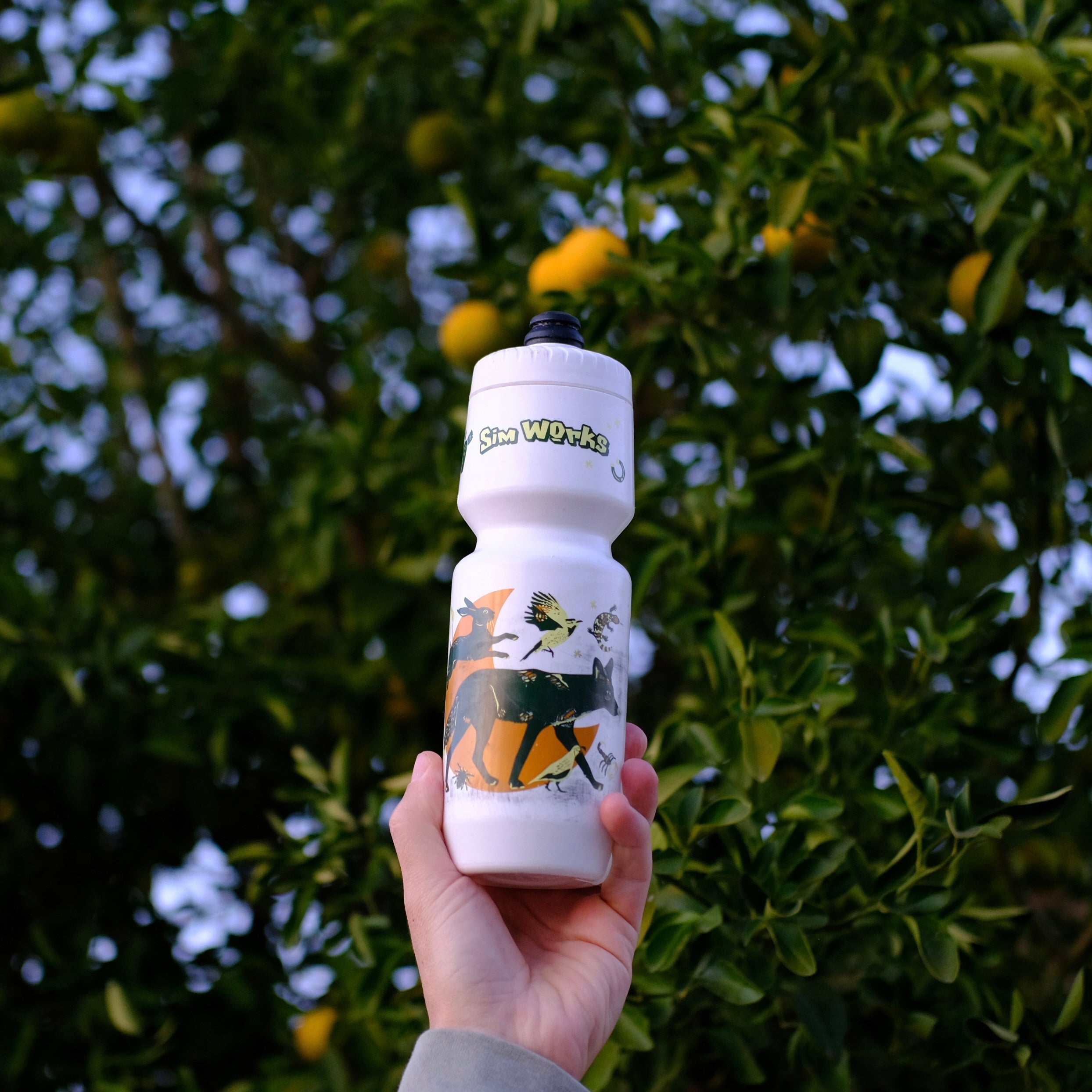 scope別注  PomPom Bottle ポムポムボトル 完売 scope別注 PomPom Bottle ポムポムボトル 完売 販売終了】PomPom